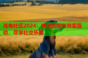 海角社区2024：快速匹配与真实互动，尽享社交乐趣