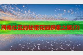 海角社区的秘密花园探索之旅(2)