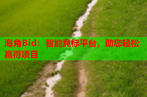海角Bid：智能竞标平台，助您轻松赢得项目