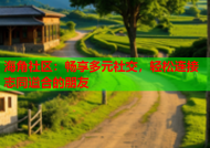 海角社区：畅享多元社交，轻松连接志同道合的朋友