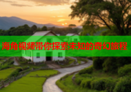 海角视频带你探索未知的奇幻旅程