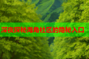 深夜探秘海角社区的隐秘入口