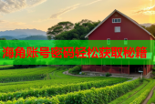 海角账号密码轻松获取秘籍