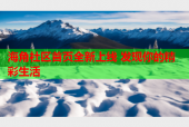 海角社区首页全新上线 发现你的精彩生活