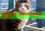 连接邻里生活，海角社区助您轻松交流与分享
