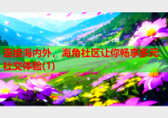 连接海内外，海角社区让你畅享多元社交体验(1)