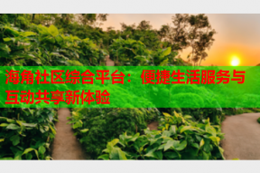 海角社区综合平台：便捷生活服务与互动共享新体验