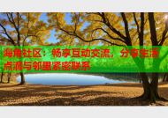 海角社区：畅享互动交流，分享生活点滴与邻里紧密联系