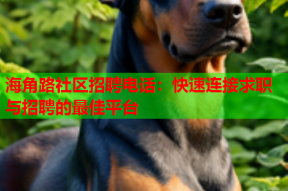 海角路社区招聘电话：快速连接求职与招聘的最佳平台