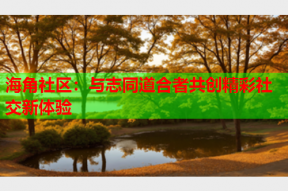 海角社区：与志同道合者共创精彩社交新体验