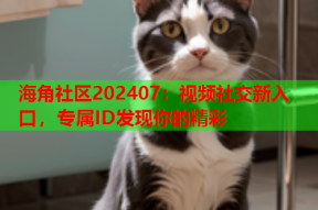 海角社区202407：视频社交新入口，专属ID发现你的精彩