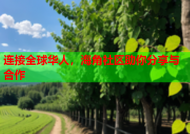 连接全球华人，海角社区助你分享与合作
