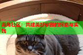 海角社区：共建美好家园的探索与实践