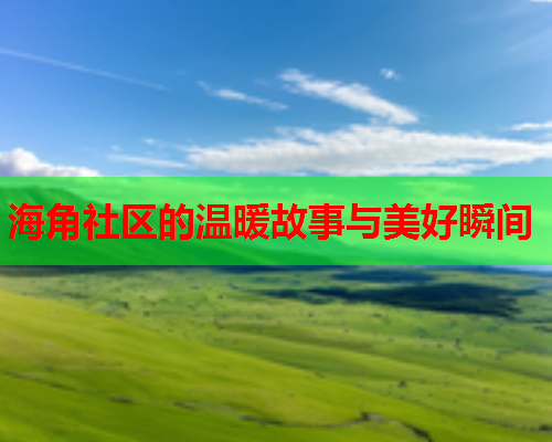海角社区的温暖故事与美好瞬间  第1张