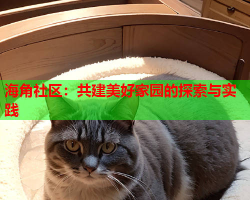 海角社区：共建美好家园的探索与实践  第1张