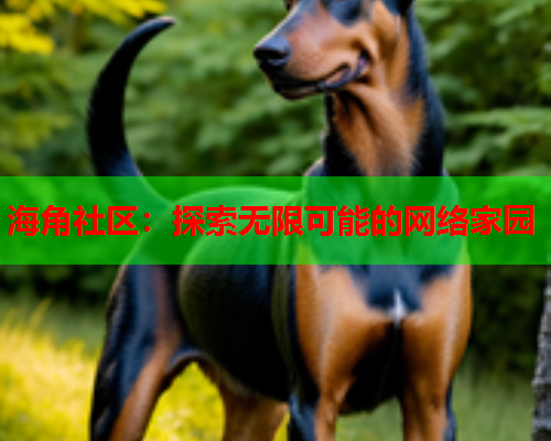 海角社区：探索无限可能的网络家园  第2张