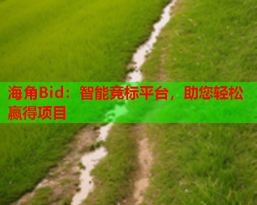 海角Bid：智能竞标平台，助您轻松赢得项目  第1张