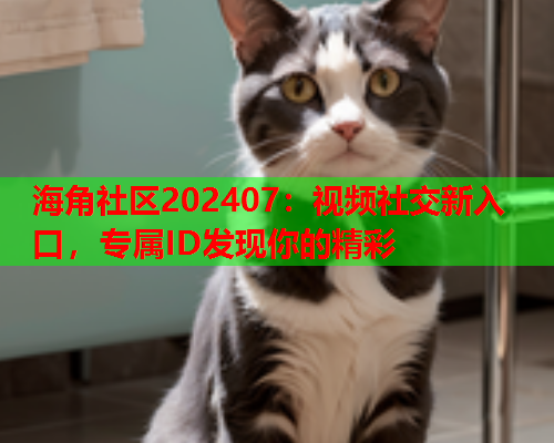 海角社区202407：视频社交新入口，专属ID发现你的精彩  第1张