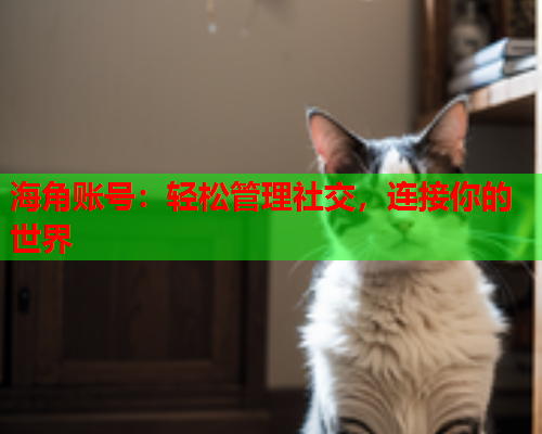 海角账号：轻松管理社交，连接你的世界  第2张