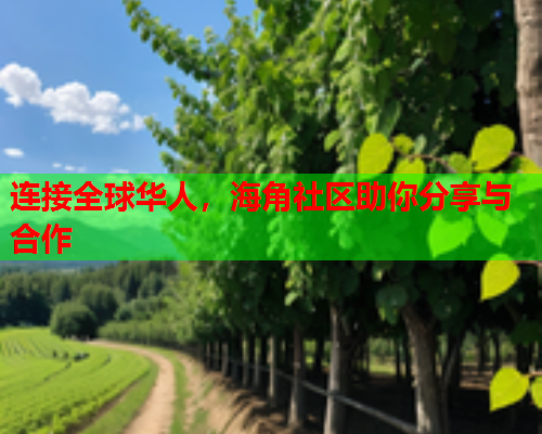 连接全球华人，海角社区助你分享与合作  第1张